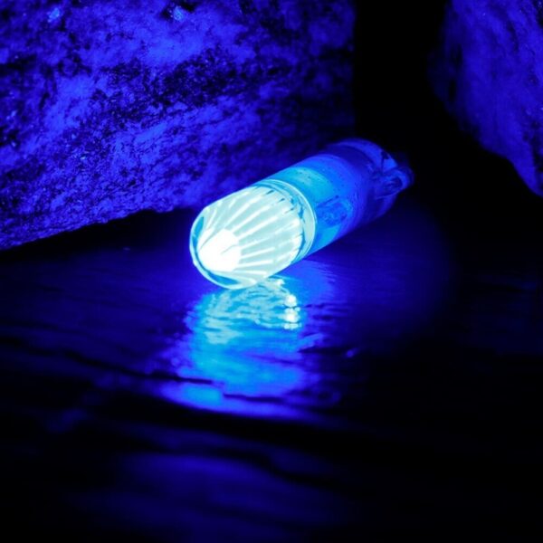 Led Underwater Deep Drop Fibre Fishing Light