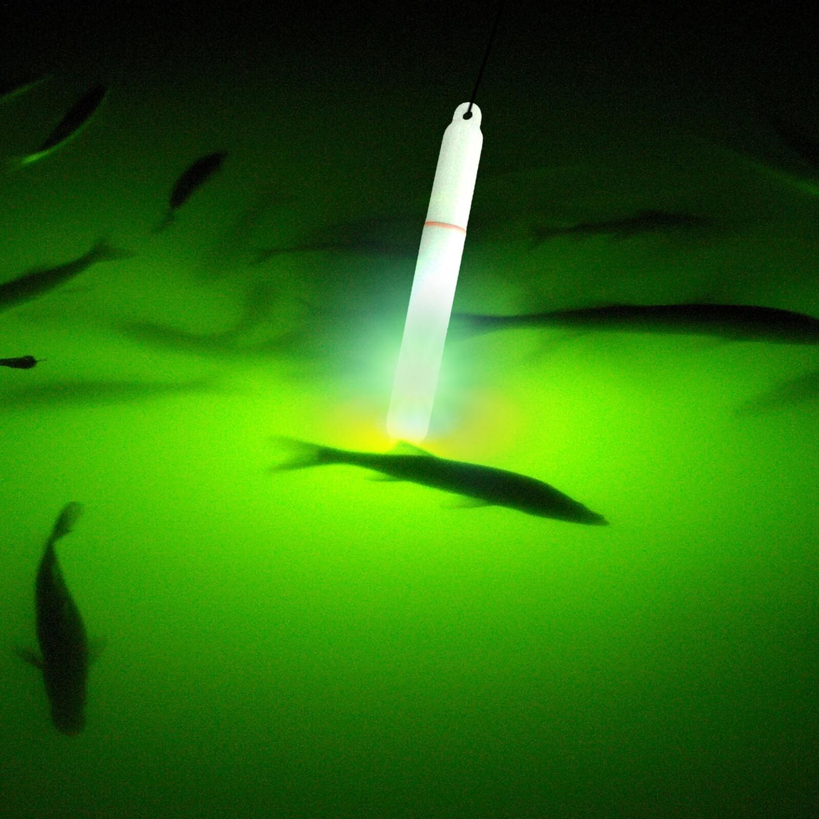why Green led is the best light for attracting fish?-Shenzhen Sikes Technology Co. LTD why Green led is the best light for attracting fish?-Shenzhen Sikes Technology Co. LTD