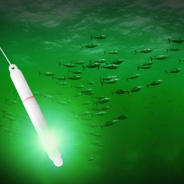 LED Deep Drop Underwater Squid Strobe Bait Fishing Lights