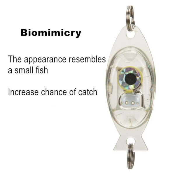 LED Underwater Deep Drop Fishing Lure Light