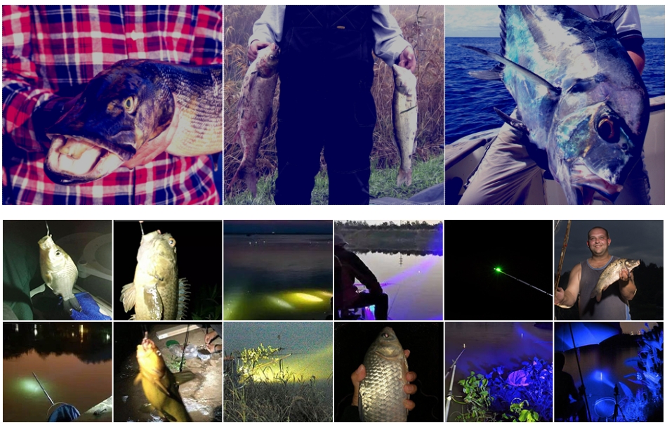 Patent Big Power AV220V 500W Green Led Fishing Lamp-Shenzhen Sikes Technology Co. LTD Patent Big Power AV220V 500W Green Led Fishing Lamp-Shenzhen Sikes Technology Co. LTD