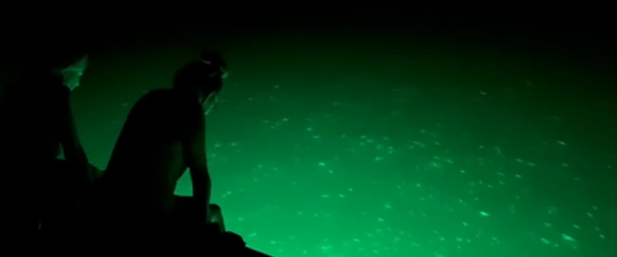 Ultimate Guide to Buying a Fishing Light-Shenzhen Sikes Technology Co. LTD Ultimate Guide to Buying a Fishing Light-Shenzhen Sikes Technology Co. LTD