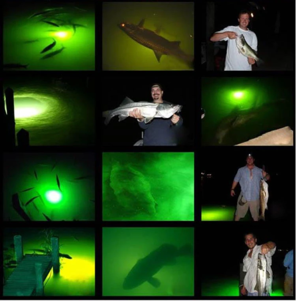12-24V 400W 450W Underwater Night Green Fishing Lamp