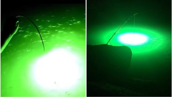 700W IP68 LED Underwater Fishing Light for Squid & Offshore Fishing