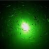 15W,12V, IP68 360 Degree Underwater Fishing LED Light For Docks