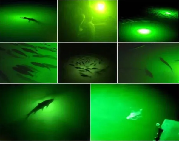 DC12V 120W  Night LED Submersible Underwater Fishing Light