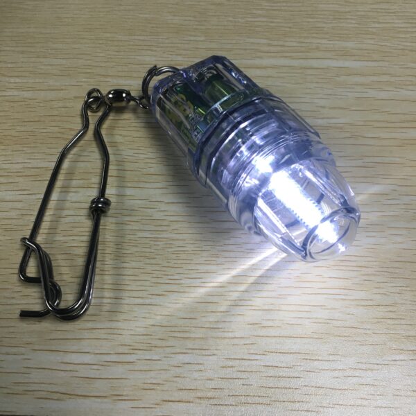 Factory OEM Underwater Deep Drop Fishing Bait Light