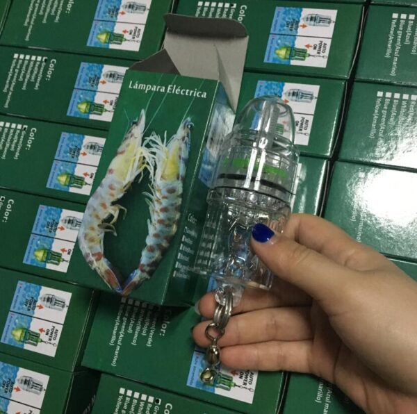 Factory OEM Underwater Deep Drop Fishing Bait Light