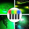 Solar Marine Warning Light