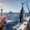 Heavy Duty Tuna Fishing Hook for Saltwater Big Game Fishing