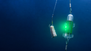 swordfish-longline-fishing-lights