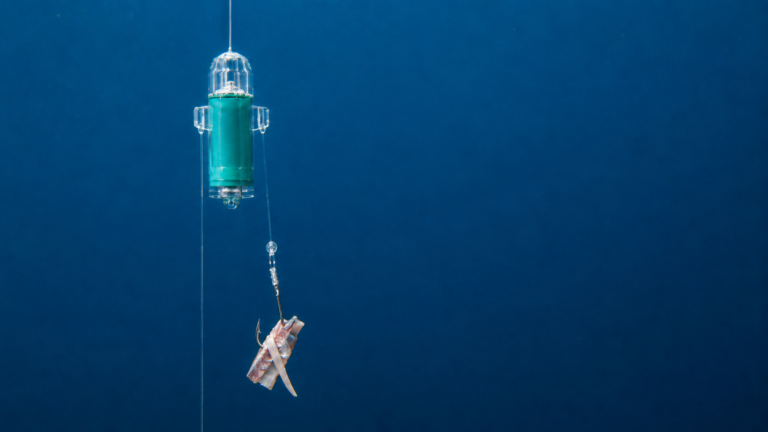 Swordfish Light Attachment and Placement Guide