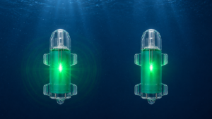 Flashing vs Steady Underwater Fishing Lights